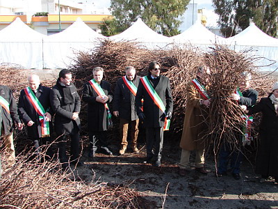 Festa della Vite