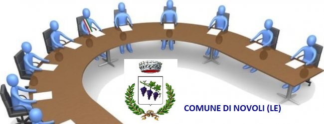 CONSIGLIO COMUNALE 