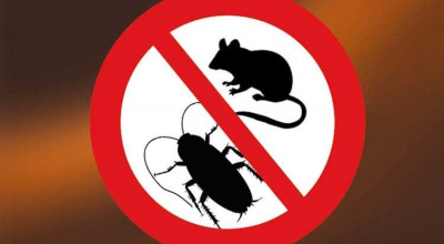 Avvio programma di Disinfestazione e Derattizzazione su tutto il territorio d...