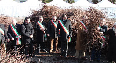 Festa della Vite