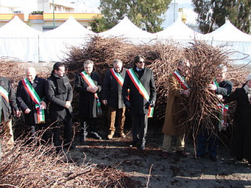 Festa della Vite