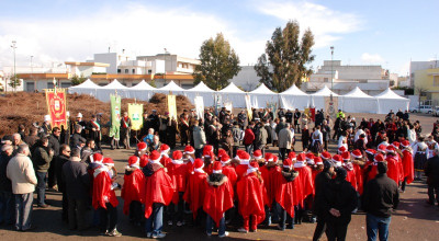 Festa della vite 2008 foto Marco Nitto