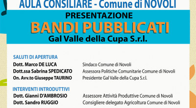 Presentazione Bandi pubblicati Gal Valle della Cupa srl