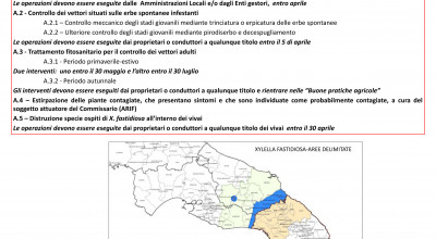 PIANO DEGLI INTERVENTI - XYLELLA FASTIDIOSA