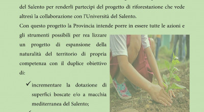Riforestazione del Salento. Acquisizione disponibilit&agrave; aree di proprie...