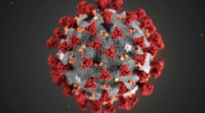 CORONAVIRUS - AUTOCERTIFICAZIONE per i cittadini che devono spostarsi in prov...