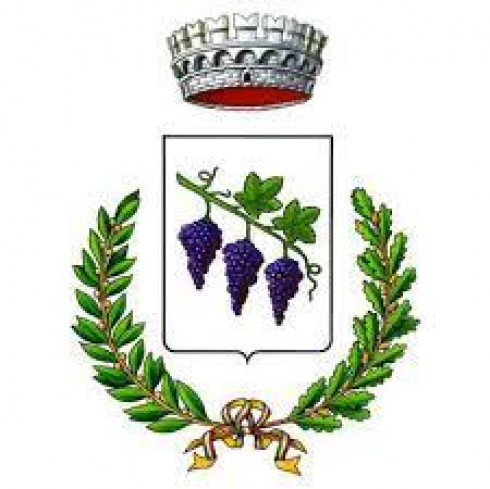 COSTITUZIONE DEL COMITATO FESTA SANT'ANTONIO ABATE