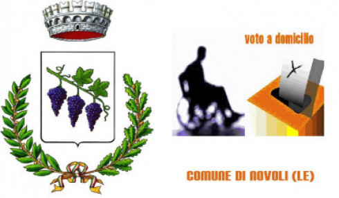 Elezioni Europee ed Amministrative del 26 maggio 2019. Elettori non deambulan...