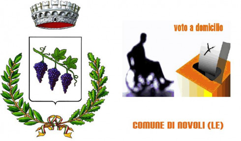 Elezioni Politiche 2008. Elettori non deambulanti, voto domiciliare e voto as...