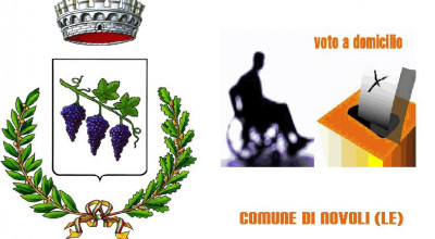 Elezioni Politiche 2008. Elettori non deambulanti, voto domiciliare e voto as...